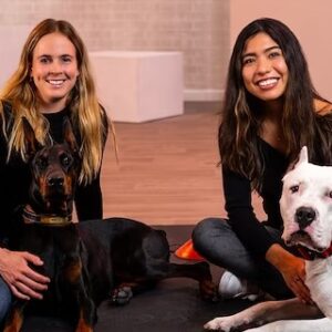 ADIESTRAMIENTO CANINO: ENTRENA A TU PERRO