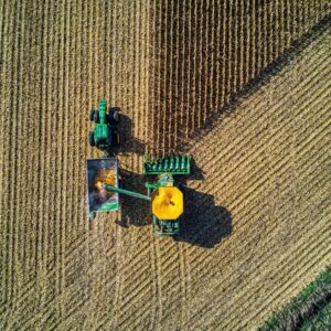 DELIMITACIÓN DEL CULTIVO